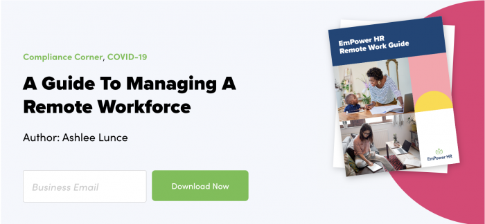 link to remote work guide